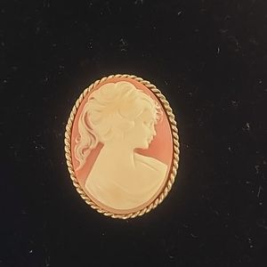 Vintage Ladies Stunning shell Cameo Pin